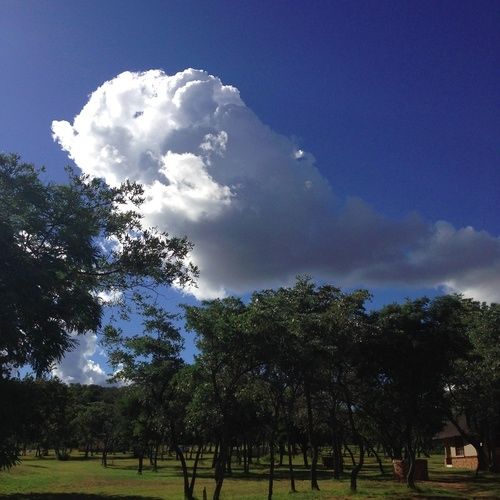 בית מלון כפרי Buyskop Lodge