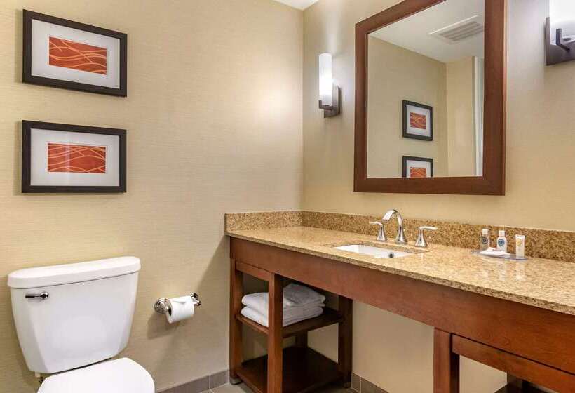 Отель Comfort Inn Pa Turnpike  I81