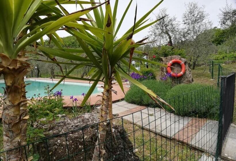 Отель Agriturismo Crocino In Chianti