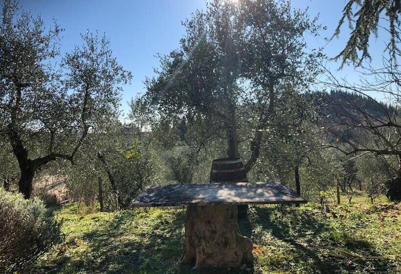 Отель Agriturismo Crocino In Chianti