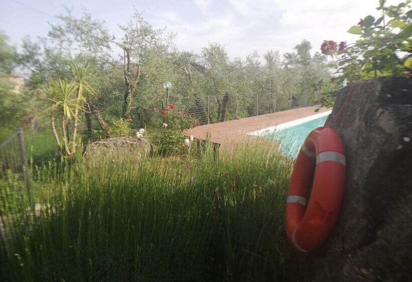 Отель Agriturismo Crocino In Chianti