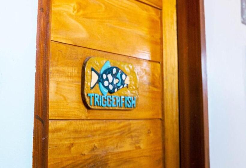 Hotel Divegurus Boracay Beach Resort