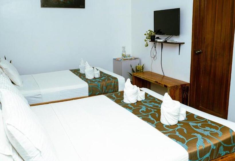 Hotel Divegurus Boracay Beach Resort