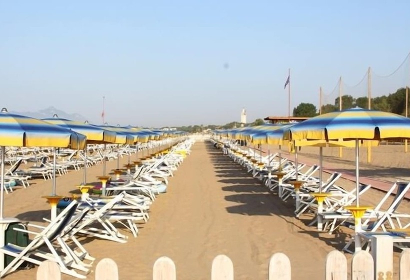 Отель Dream Camping