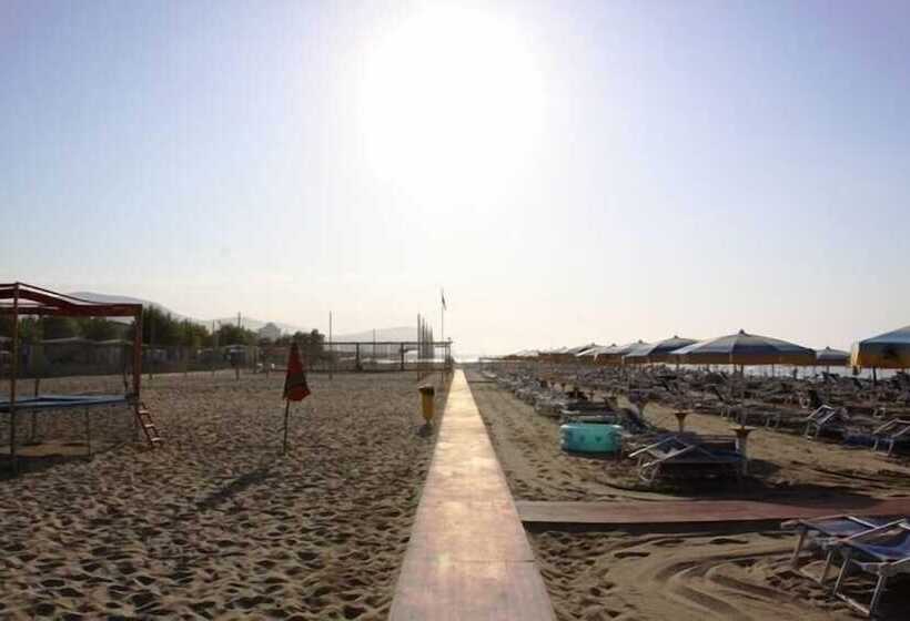 Отель Dream Camping