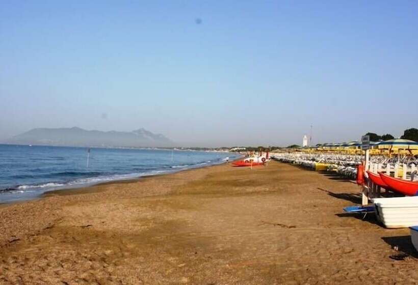 Отель Dream Camping