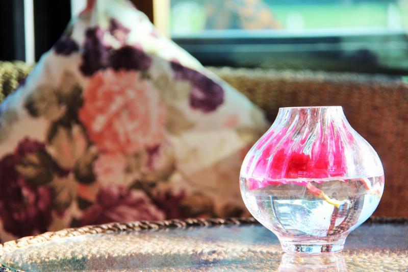 ホテル Family House Zen Boutique Resort