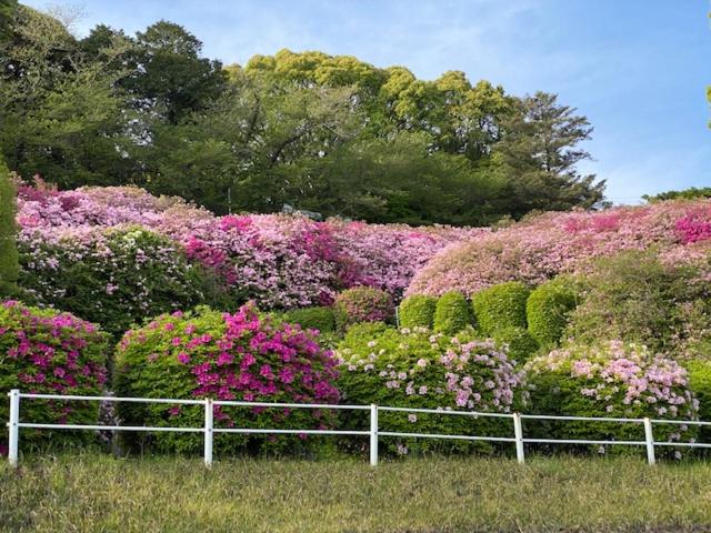 בית מלון כפרי Hatago Hashimoto