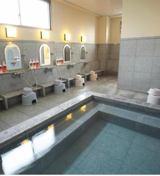 בית מלון כפרי Hatago Hashimoto