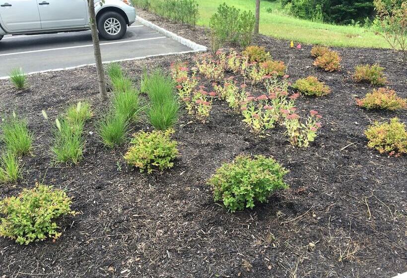 酒店 Holiday Inn Express Bordentown   Trenton South, An Ihg