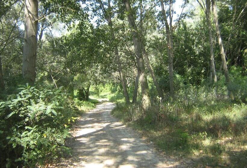 酒店 Hostiliae Ciminiera