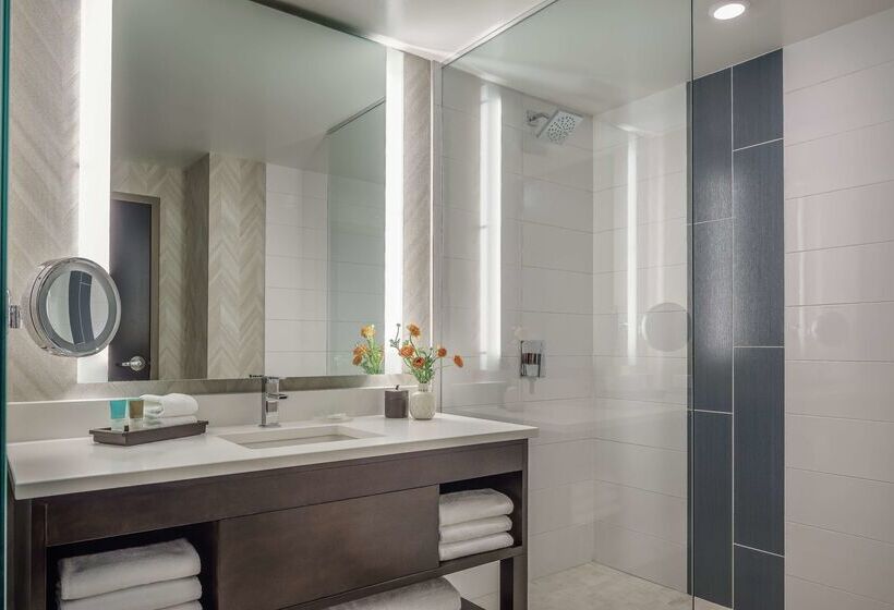 Отель Hyatt Regency Aurora Denver Conference Center