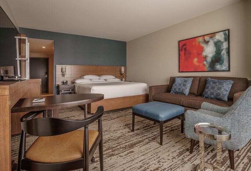 Отель Hyatt Regency Aurora Denver Conference Center