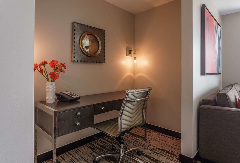 Отель Hyatt Regency Aurora Denver Conference Center