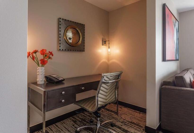 Отель Hyatt Regency Aurora Denver Conference Center