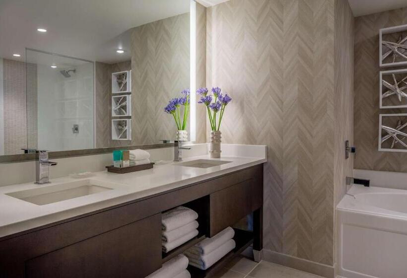 Отель Hyatt Regency Aurora Denver Conference Center