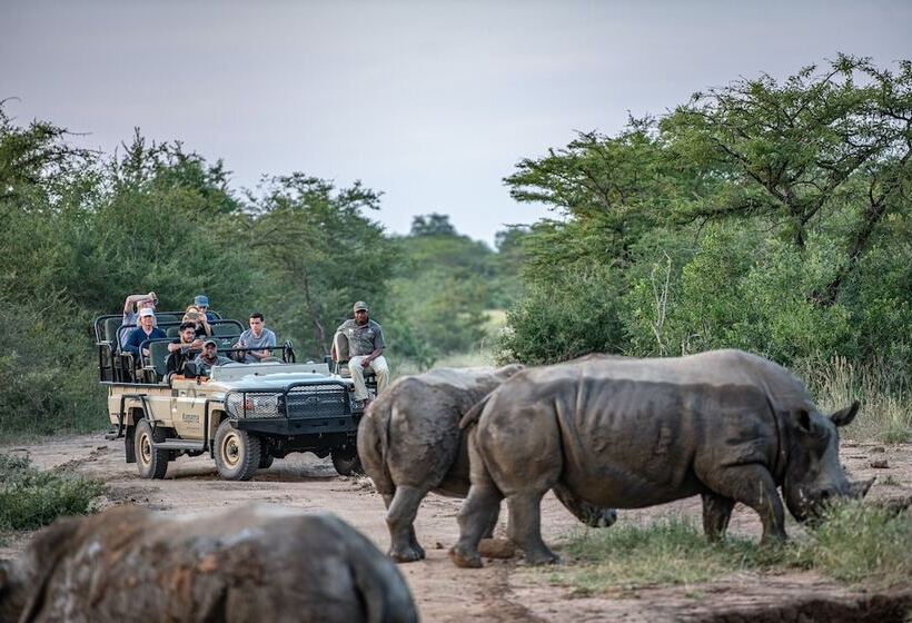 ホテル Kapama Buffalo Camp
