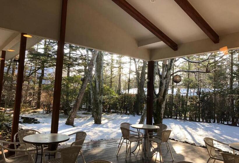 Отель Karuizawa Elegance