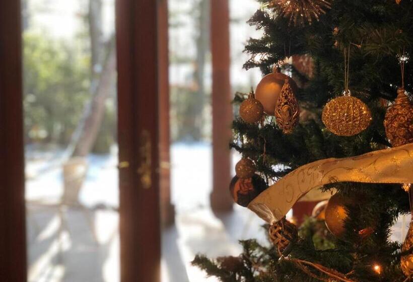 Отель Karuizawa Elegance