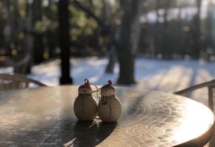 Отель Karuizawa Elegance