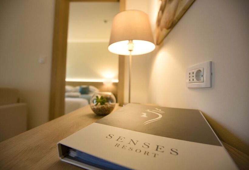 ホテル Labranda Senses Resort