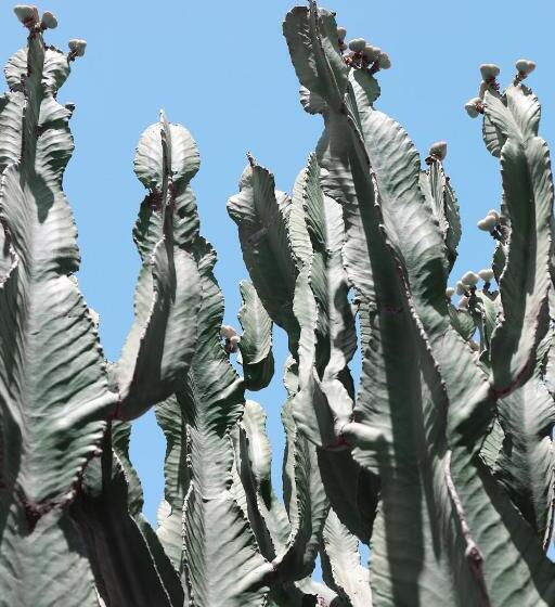 هتل Le Petit Hôtel Du Flouka