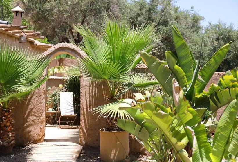 هتل Le Petit Hôtel Du Flouka