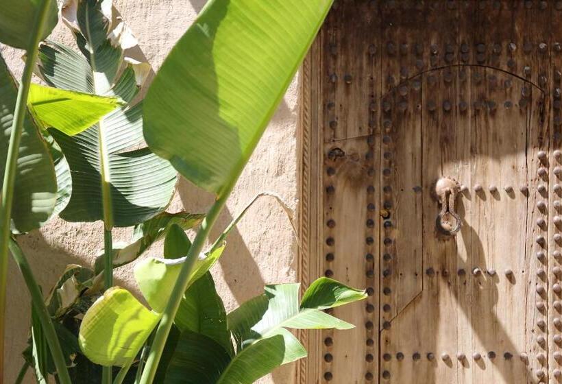 هتل Le Petit Hôtel Du Flouka