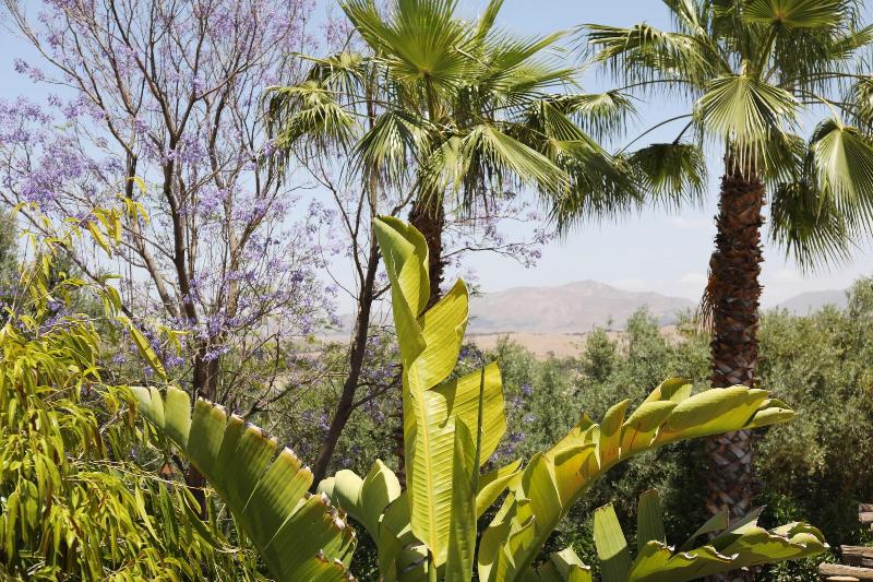 هتل Le Petit Hôtel Du Flouka