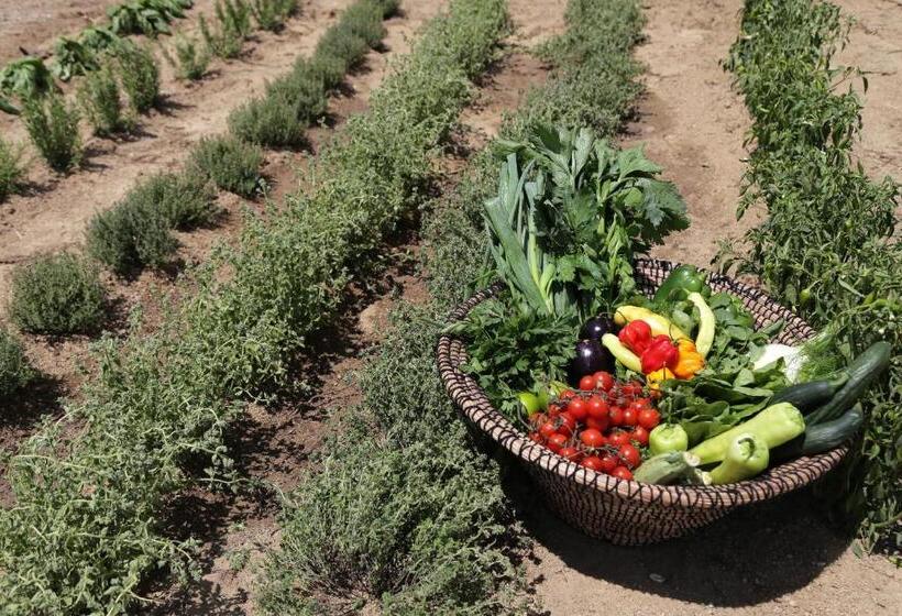 Livin Mykonos Hotel Adults Only