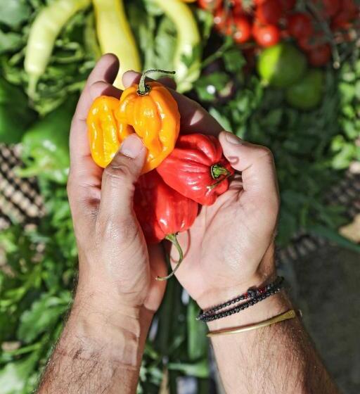 Livin Mykonos Hotel Adults Only