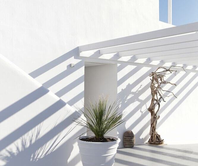 Livin Mykonos Hotel   Adults Only