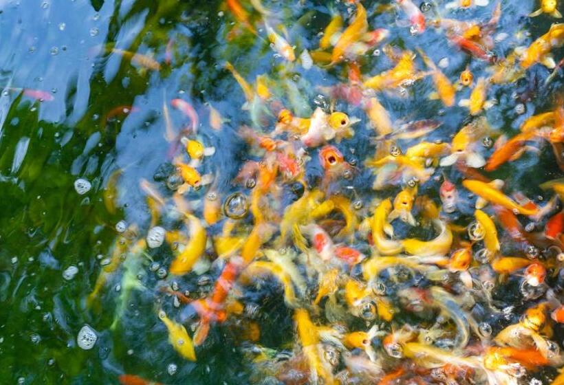 Отель Nature Line Resort