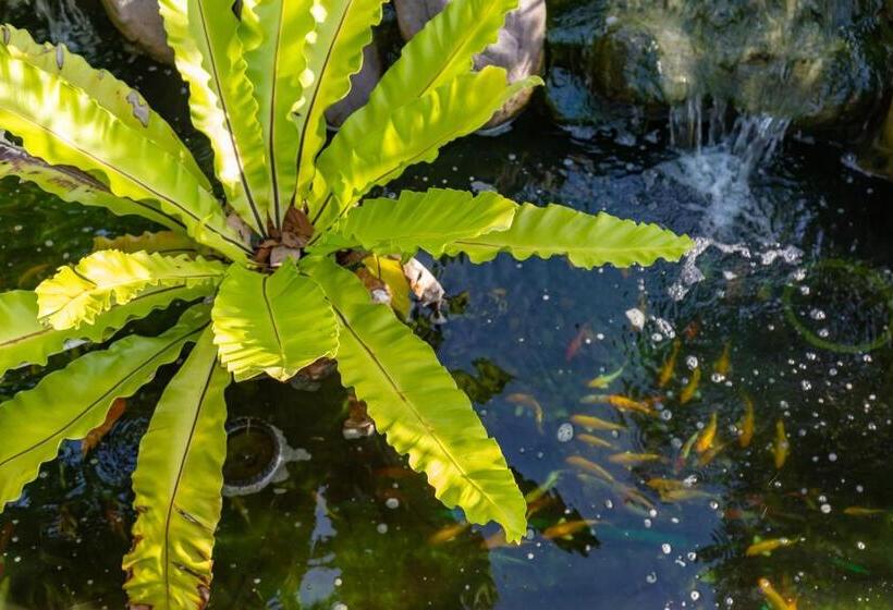 Отель Nature Line Resort