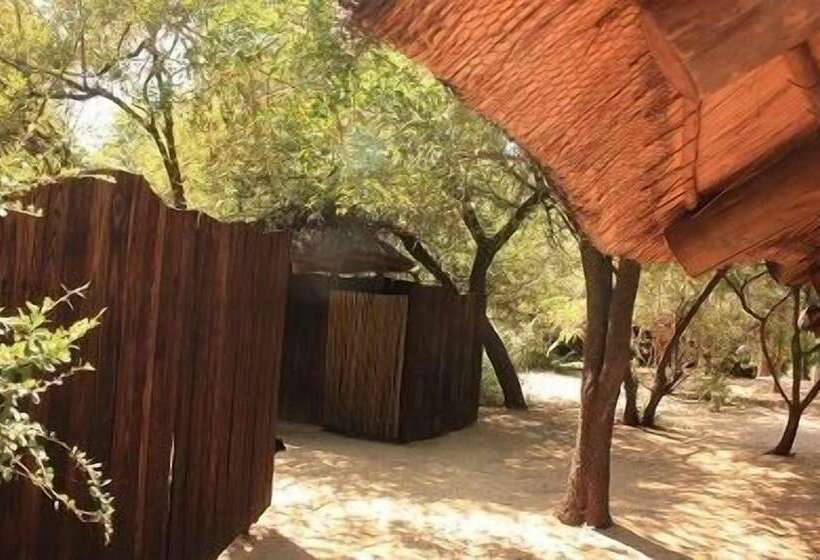 فندق Off Beat Safaris Bush Lodge