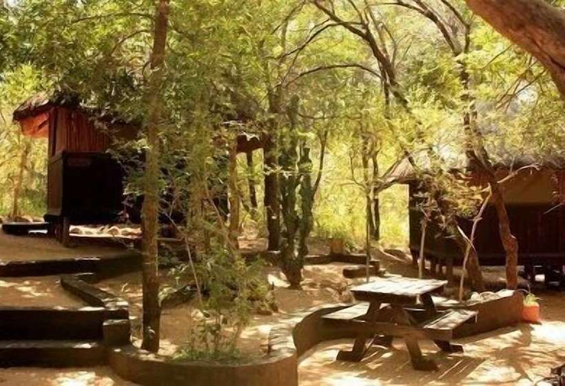 酒店 Off Beat Safaris Bush Lodge