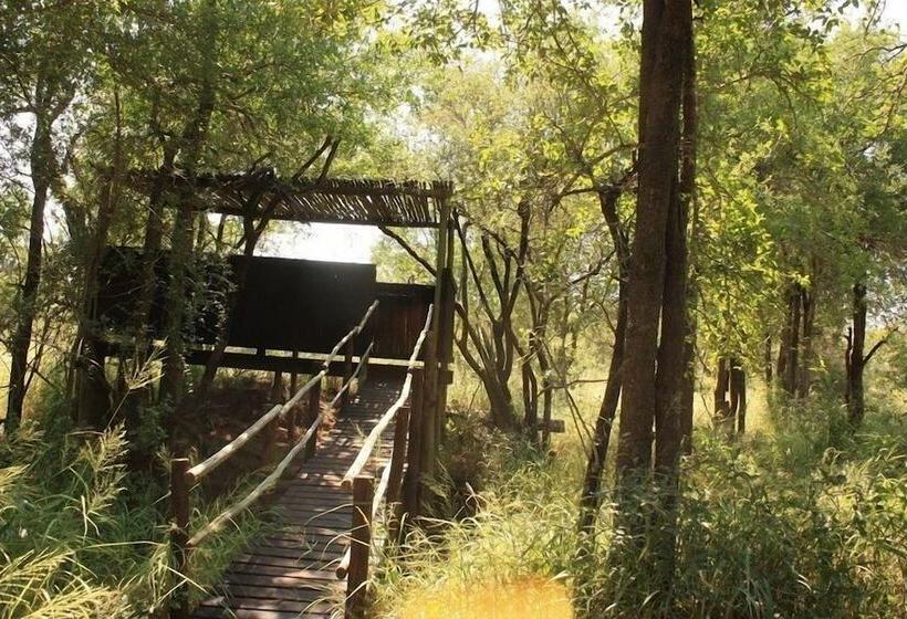酒店 Off Beat Safaris Bush Lodge