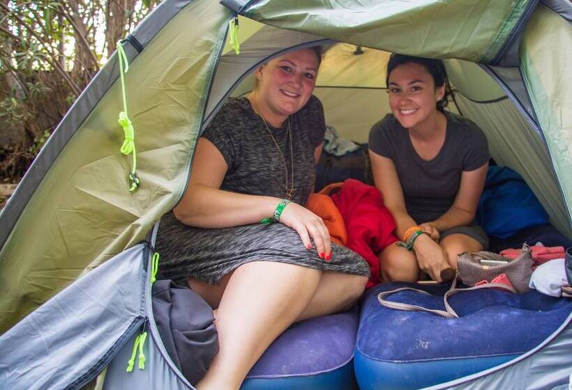 فندق Pamplona Camping