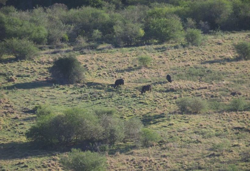 ホテル Pure Nature Familodge