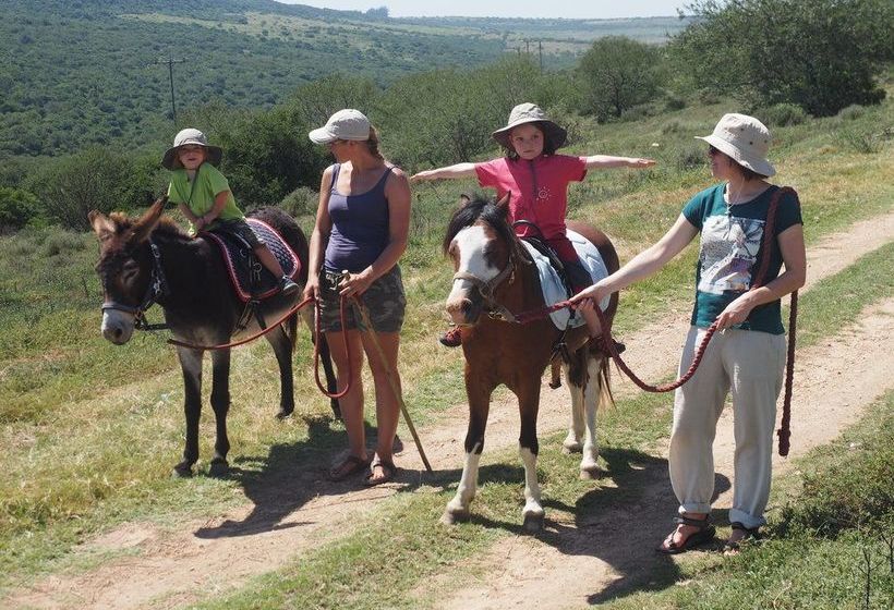 ホテル Pure Nature Familodge