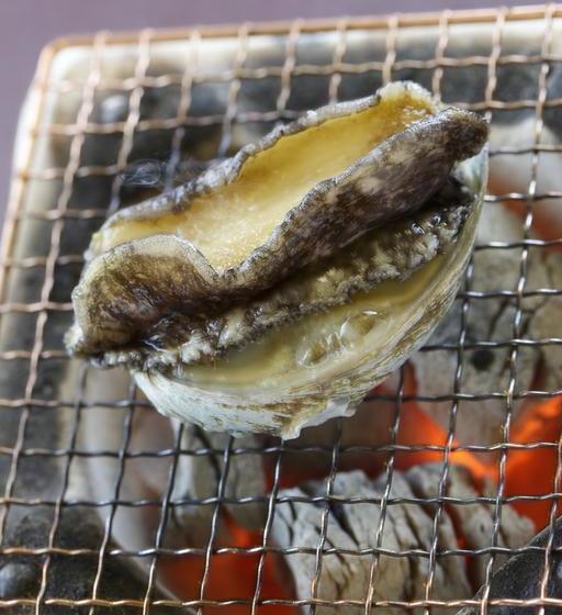 בית מלון כפרי Rikyuan