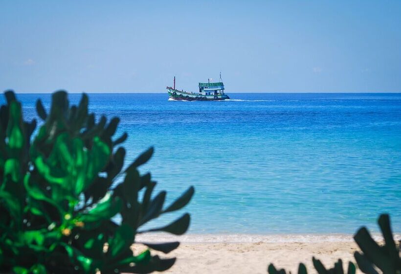 فندق Seafar Resort