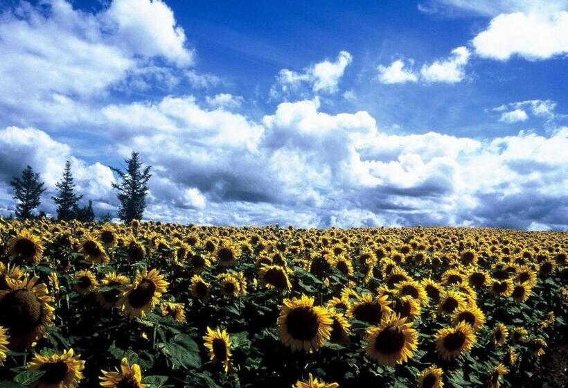 בית מלון כפרי Sunfuraton