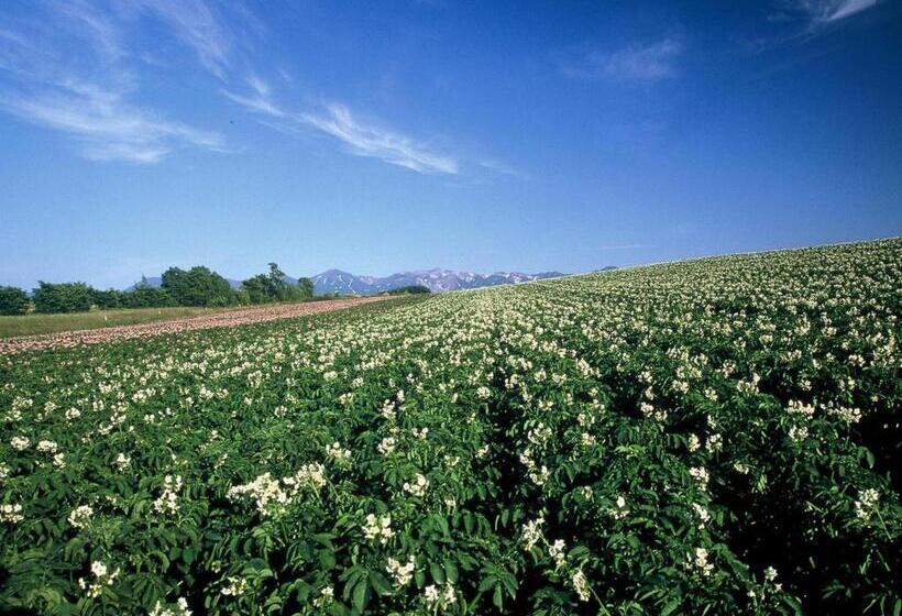 בית מלון כפרי Sunfuraton