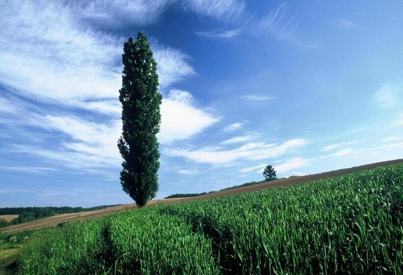 בית מלון כפרי Sunfuraton