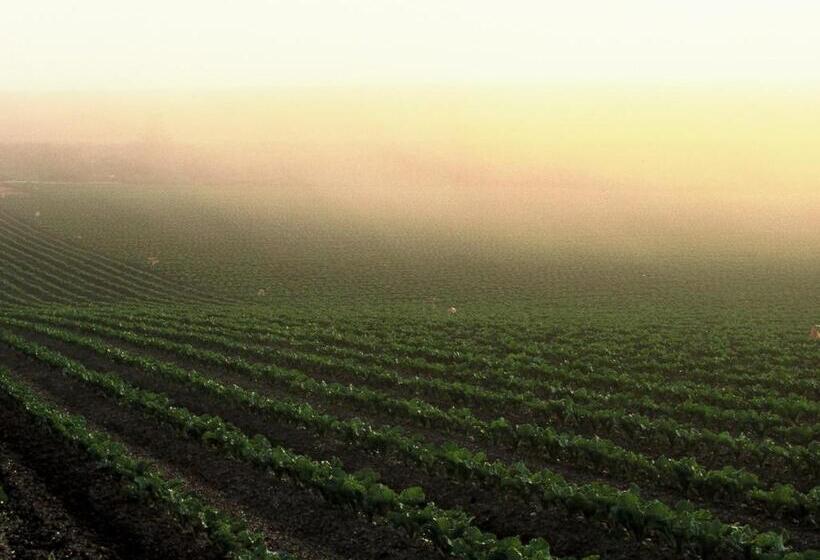 בית מלון כפרי Sunfuraton