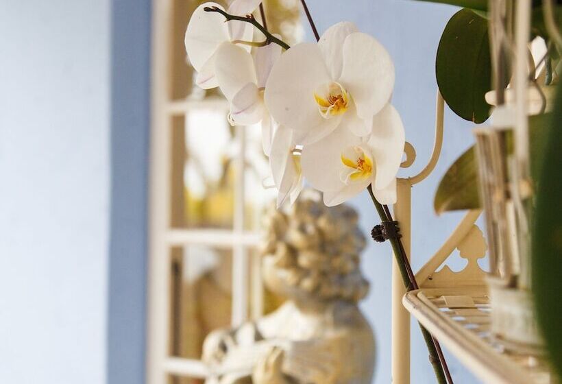 酒店 The Angels Place Boutique Guest House