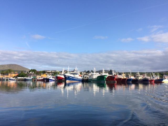 فندق Beara Coast