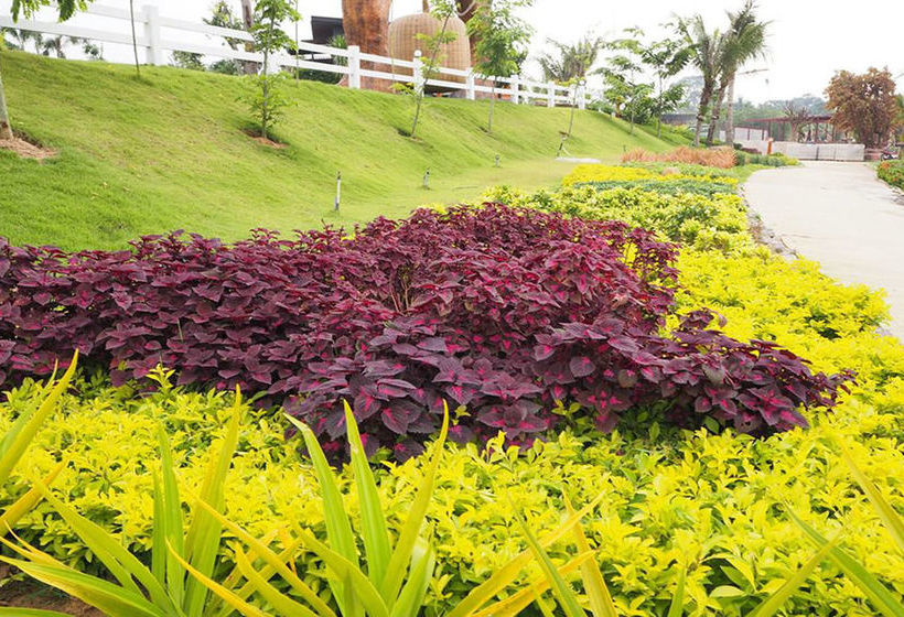 فندق The Canal Garden Resort