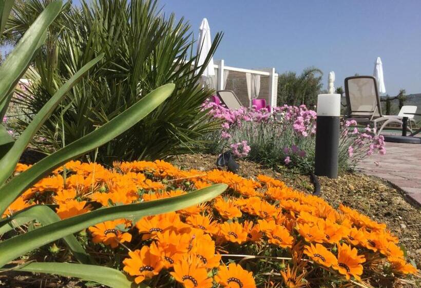 Il Colle Del Rustico